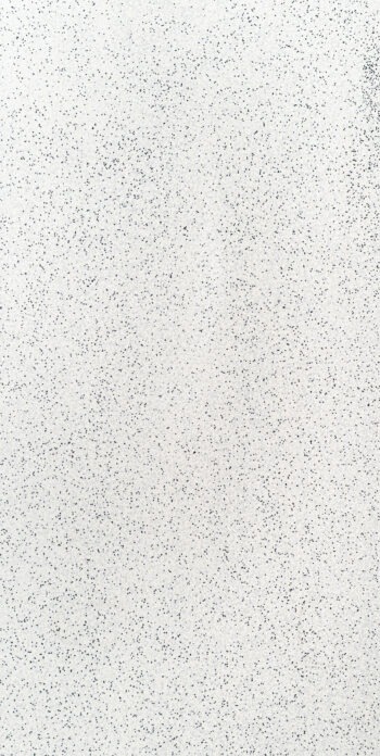 WHITE DALMATIAN