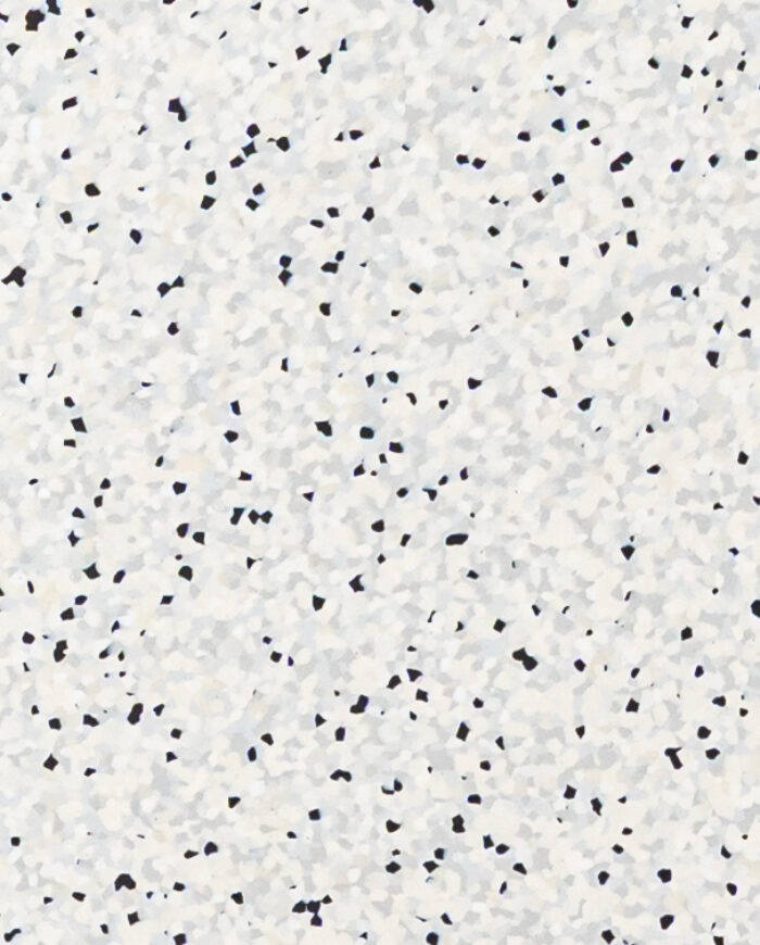 WHITE DALMATIAN